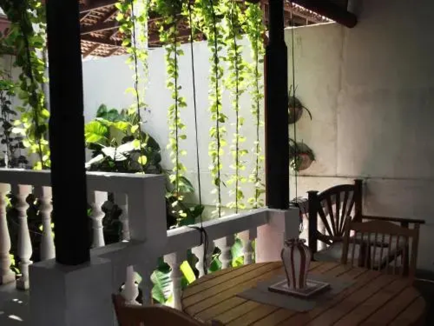 Shoba Traveller's Tree - Galle Fort