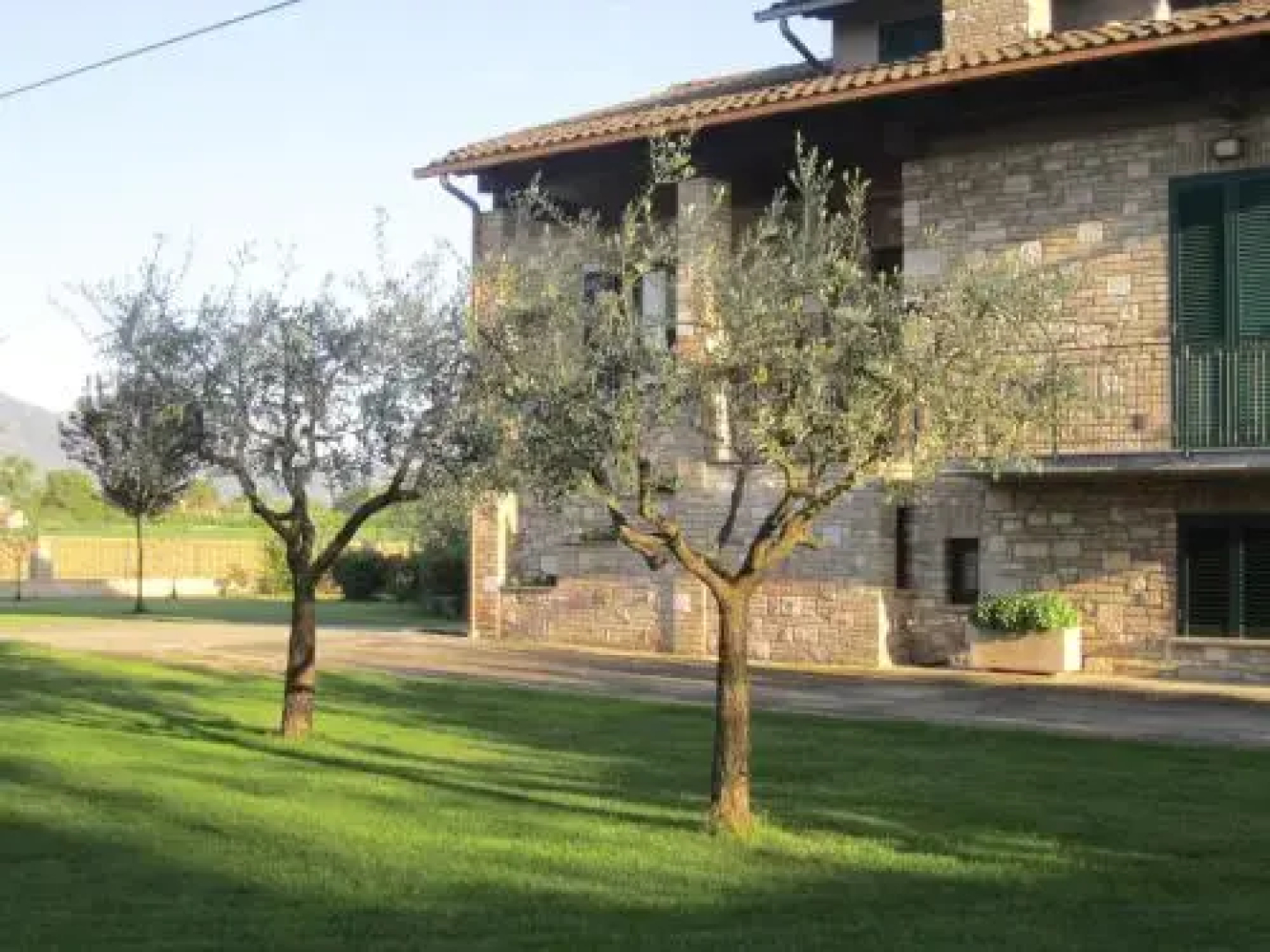 La Strada Di Francesco DAssisi