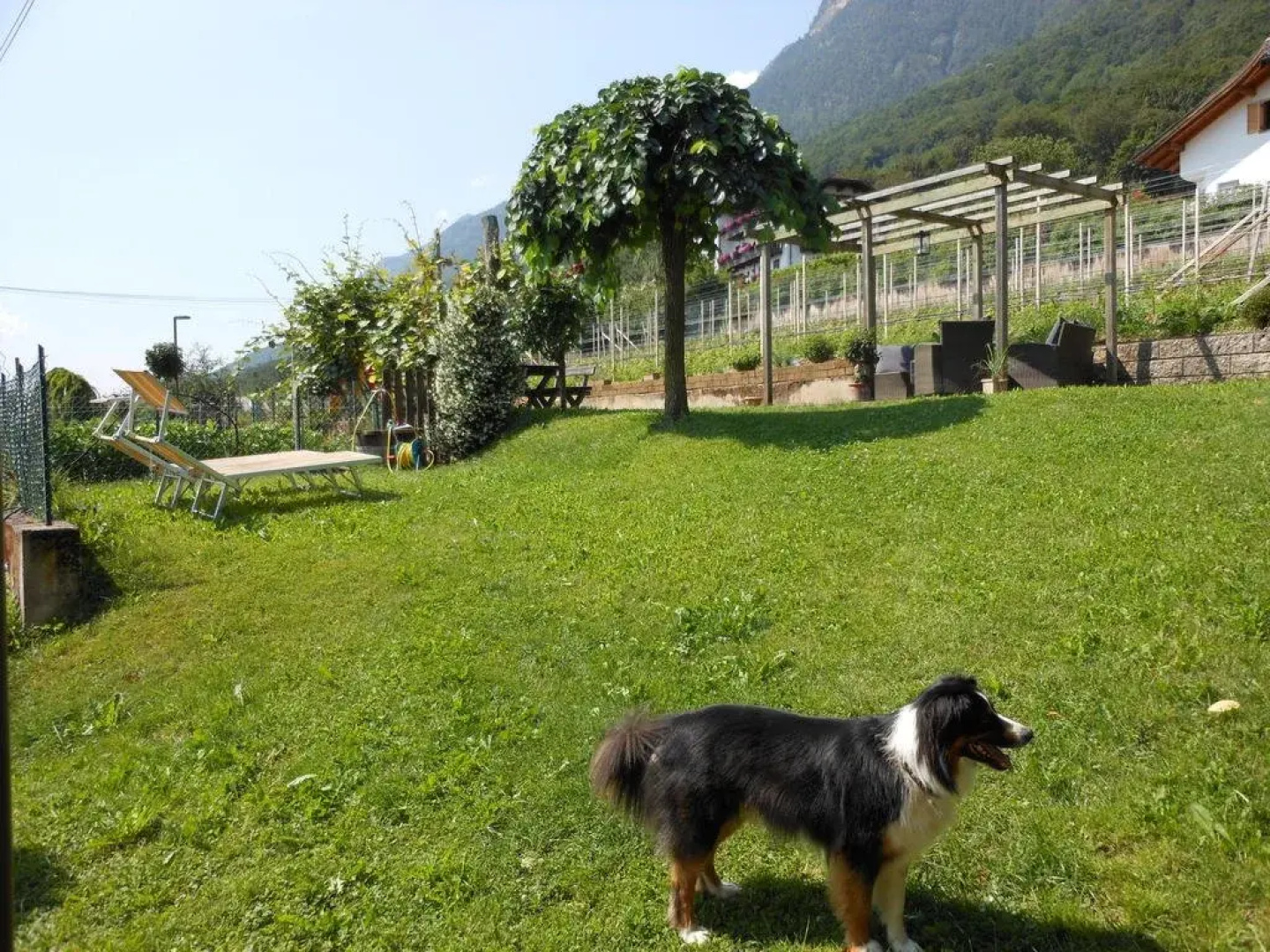 Haus Tirol