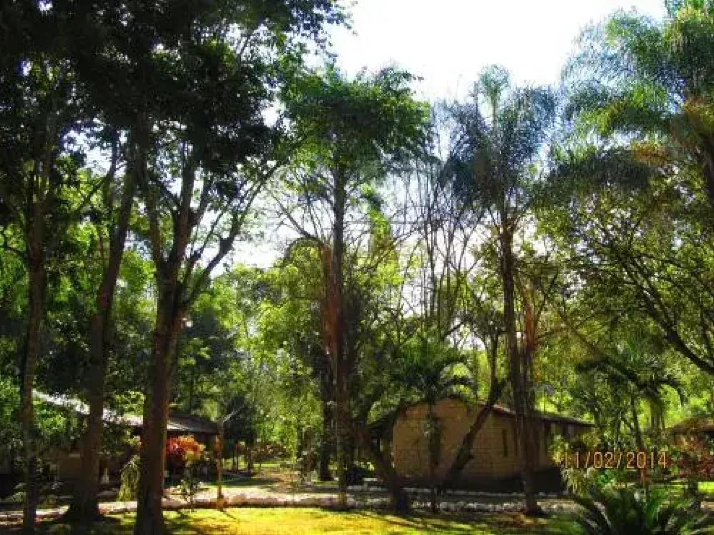 El Bosque Hotel