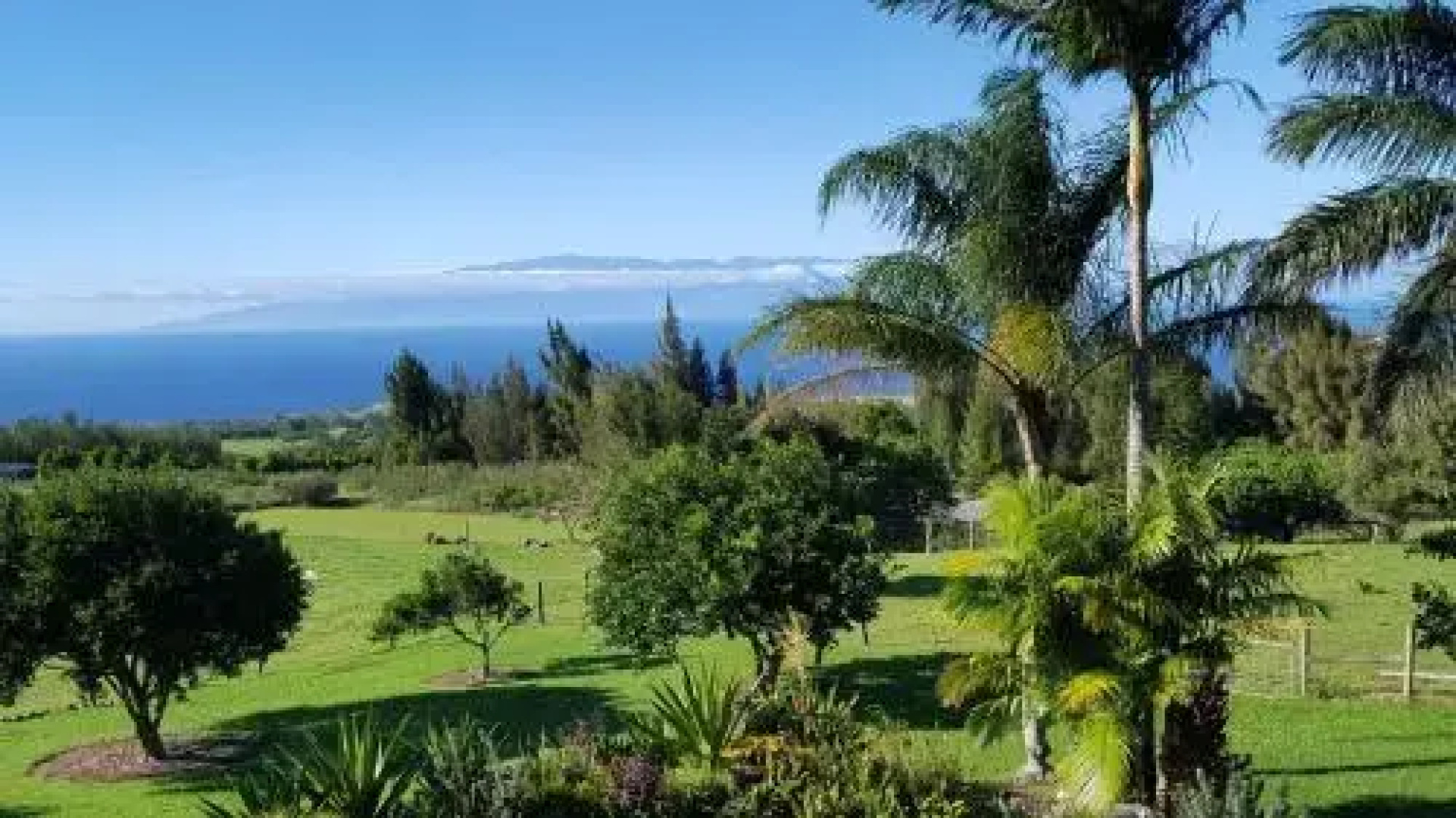 Aloha Cottage
