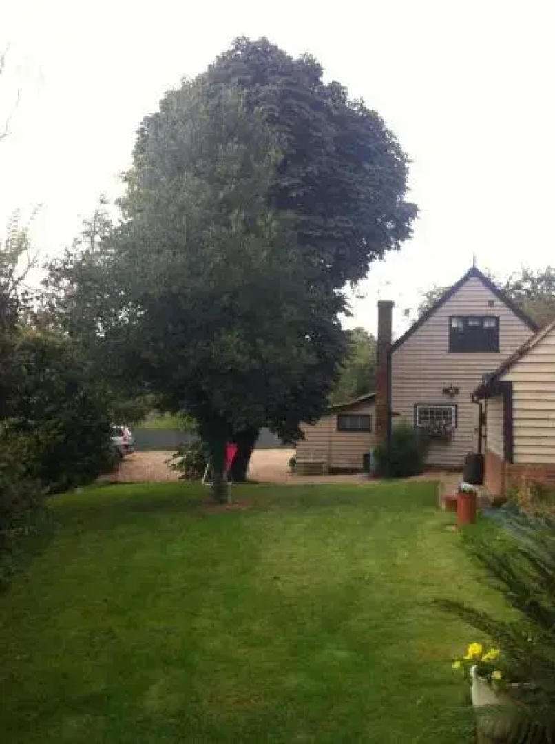 The Coach House B&B