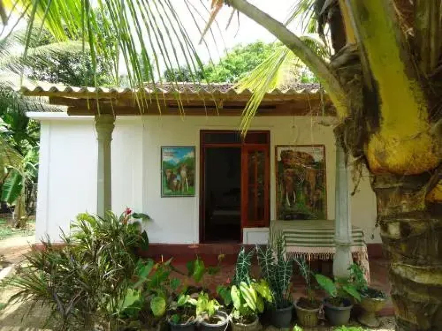 Sigiri Picaso Home Stay
