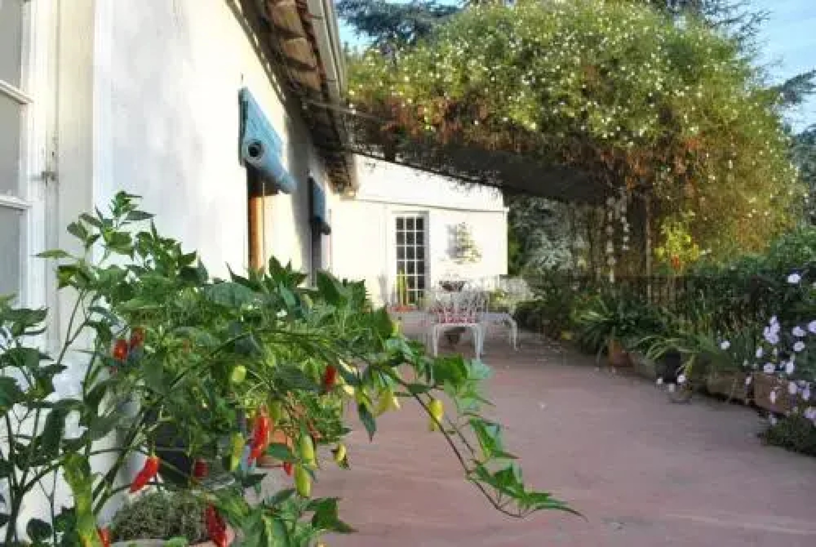 El Cerrillo Bed & Breakfast