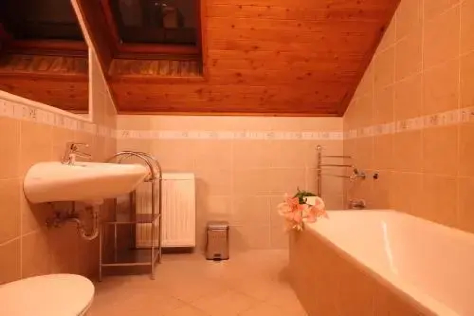 Aba Wellness House