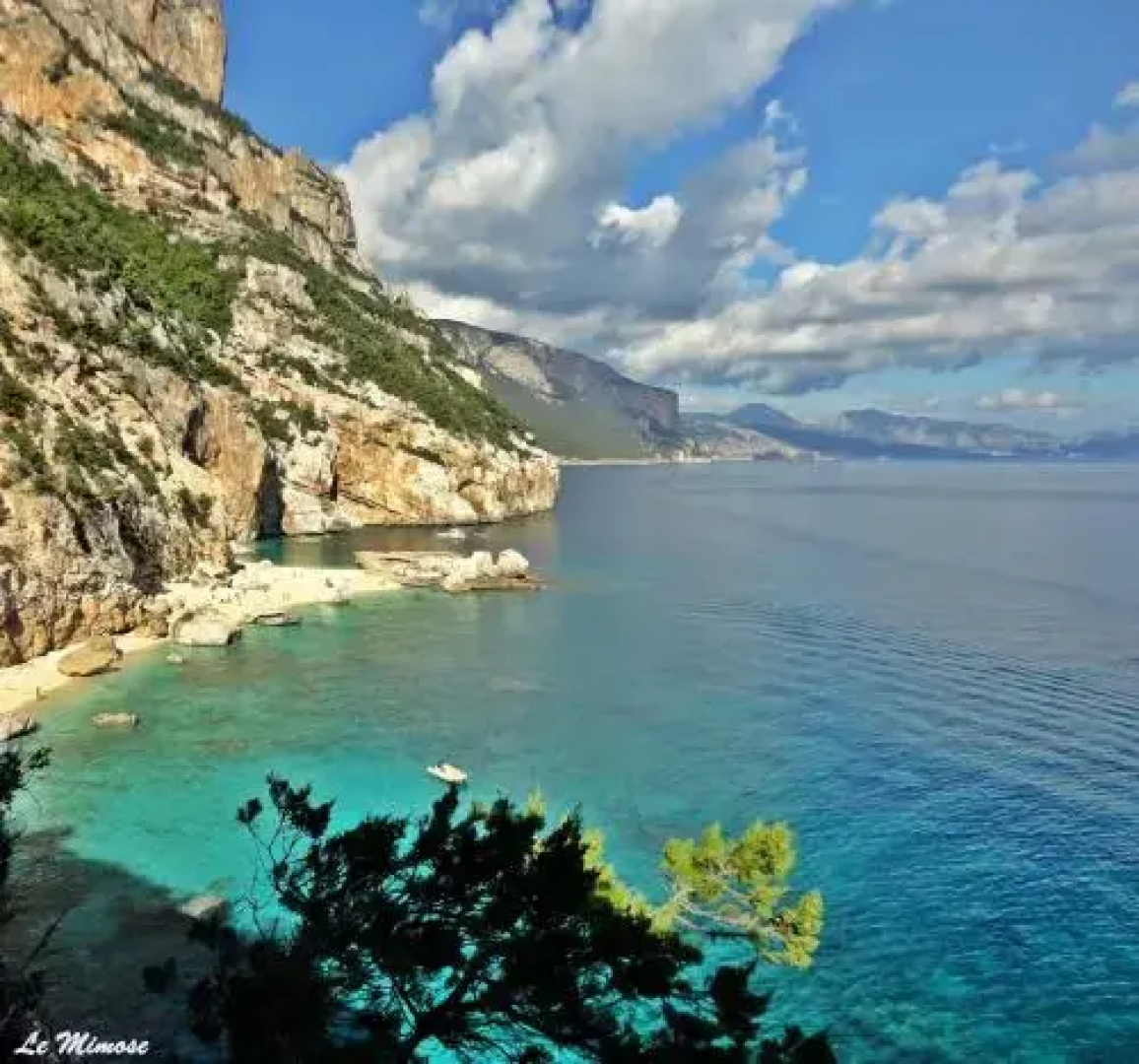 Appartamenti Le Mimose