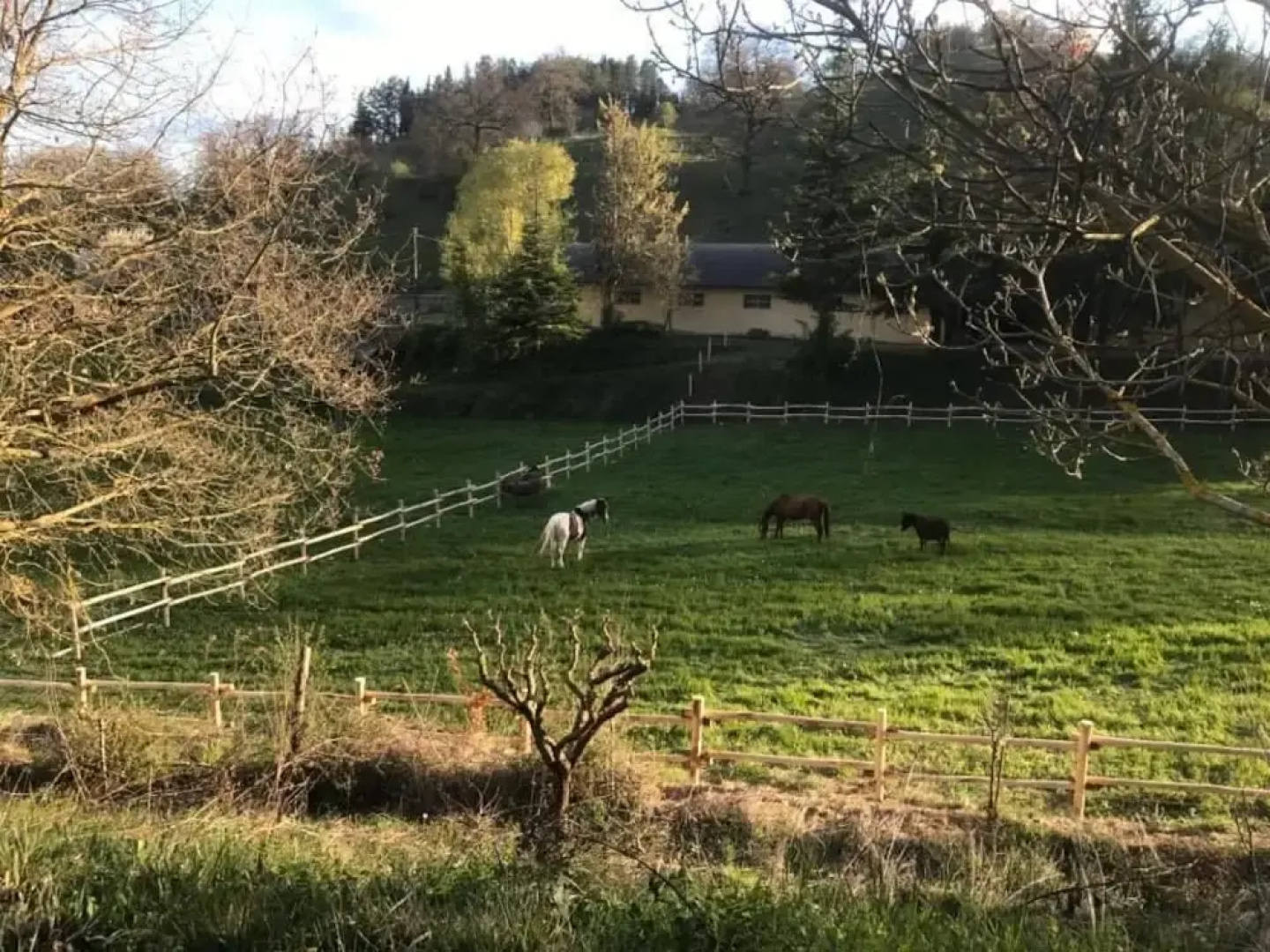 Borgo Di Cortolla