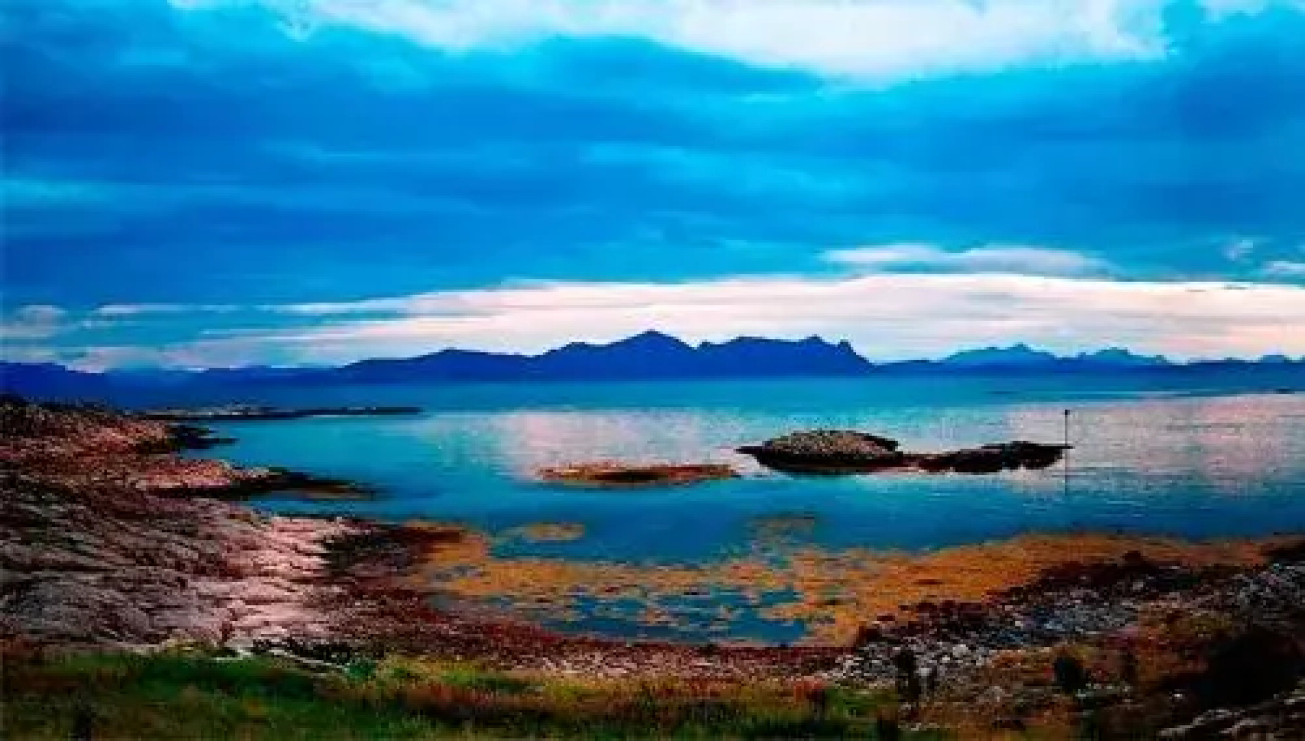 Vestfjord Service Villa