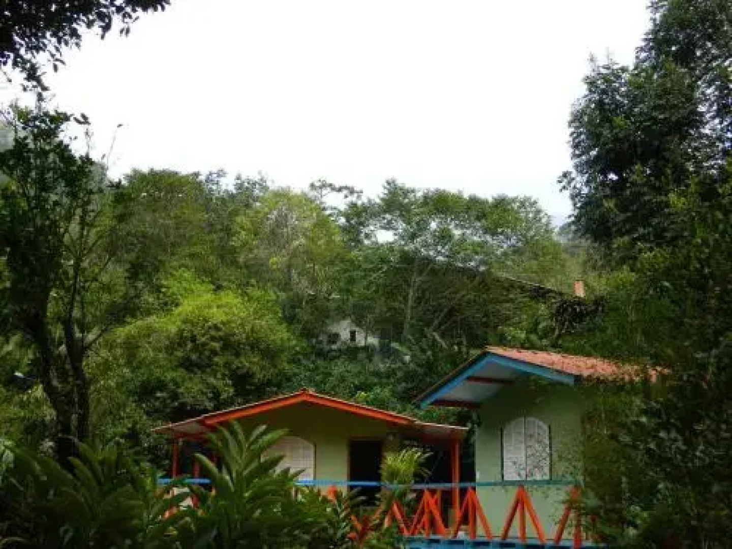 Bicho do Mato Suites