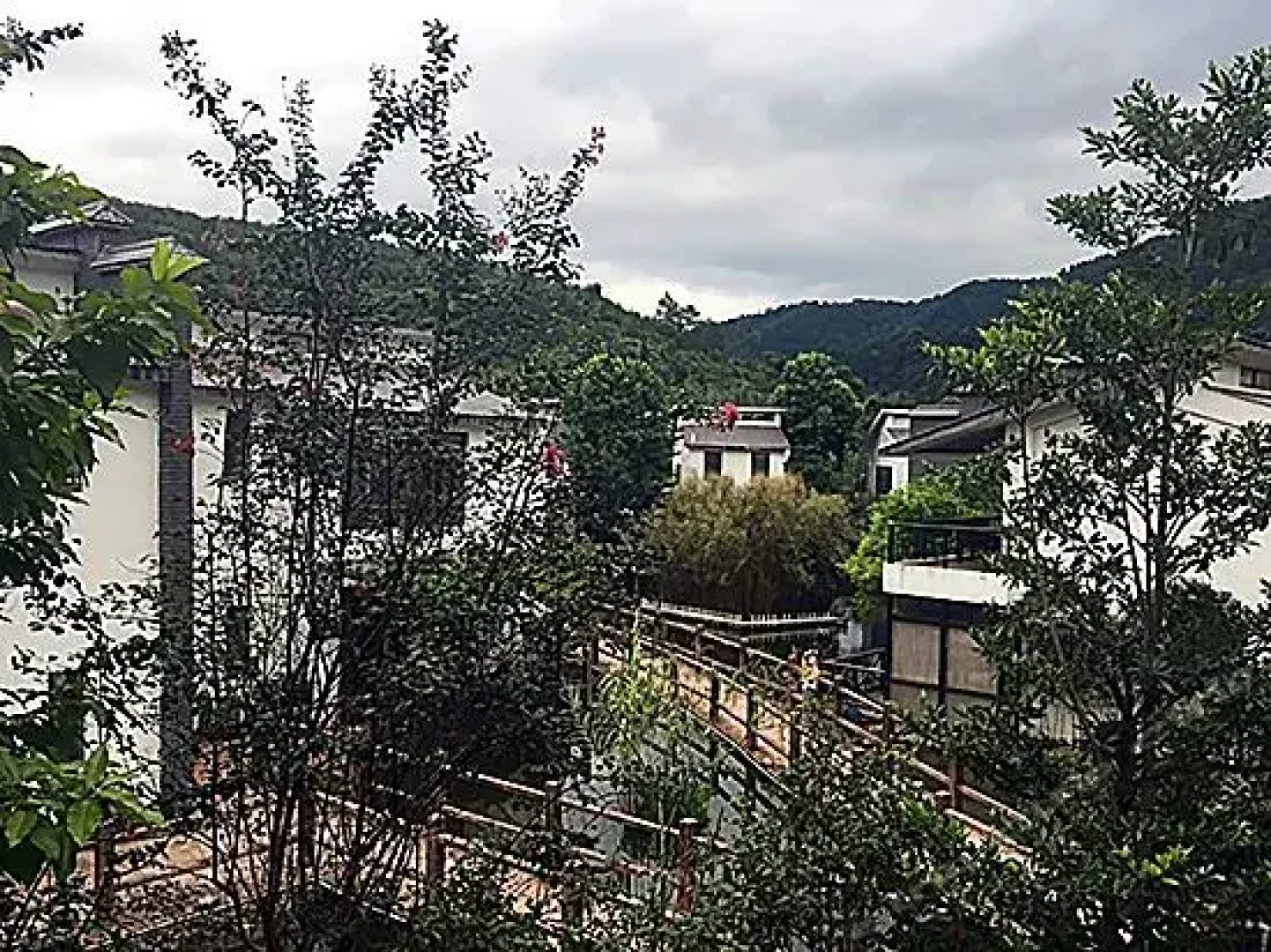 Relong Hot Spring Resort
