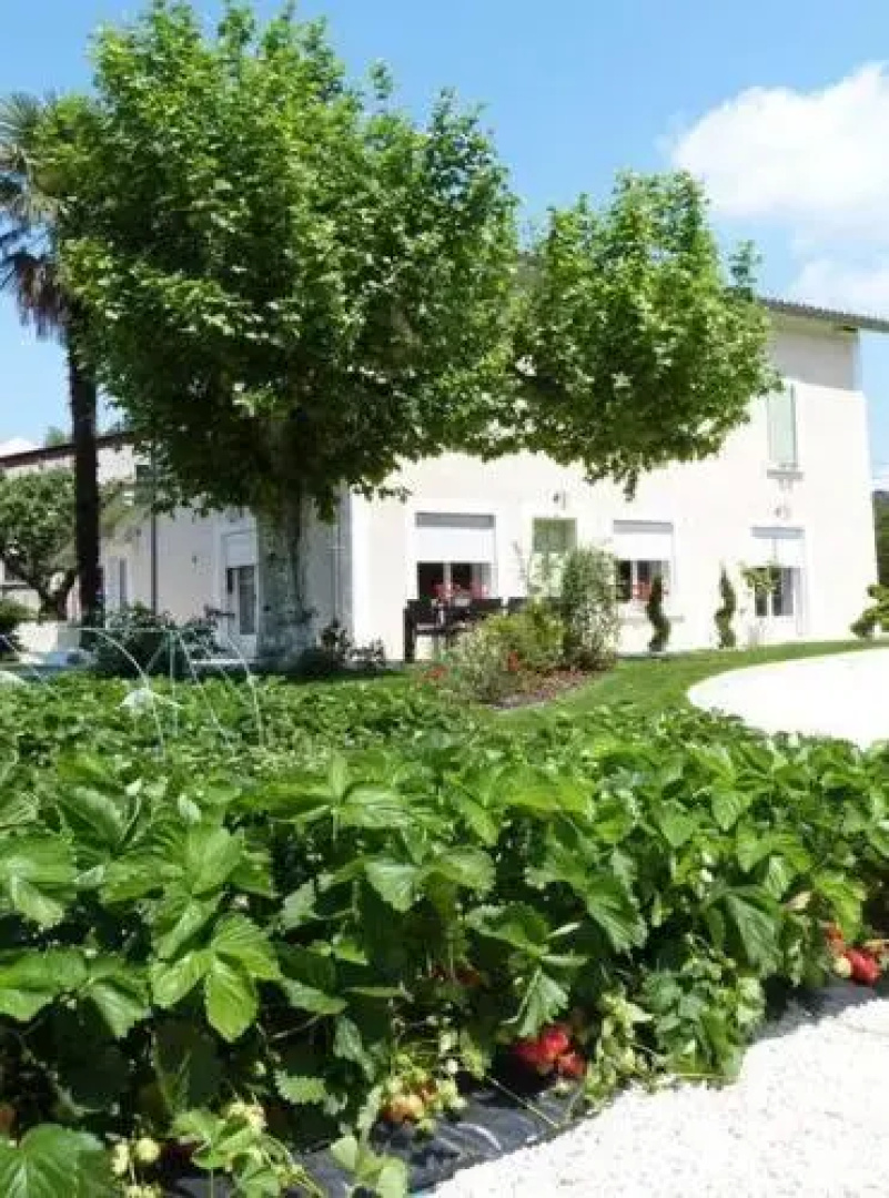 Gîte La Fraiseraie