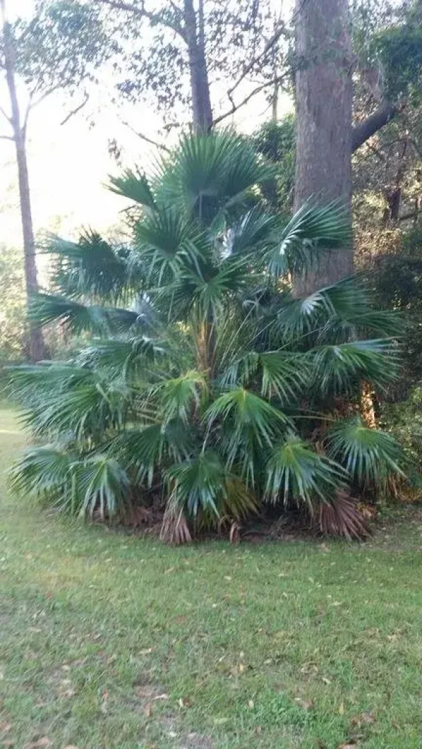 Elebanah Luxury Camping