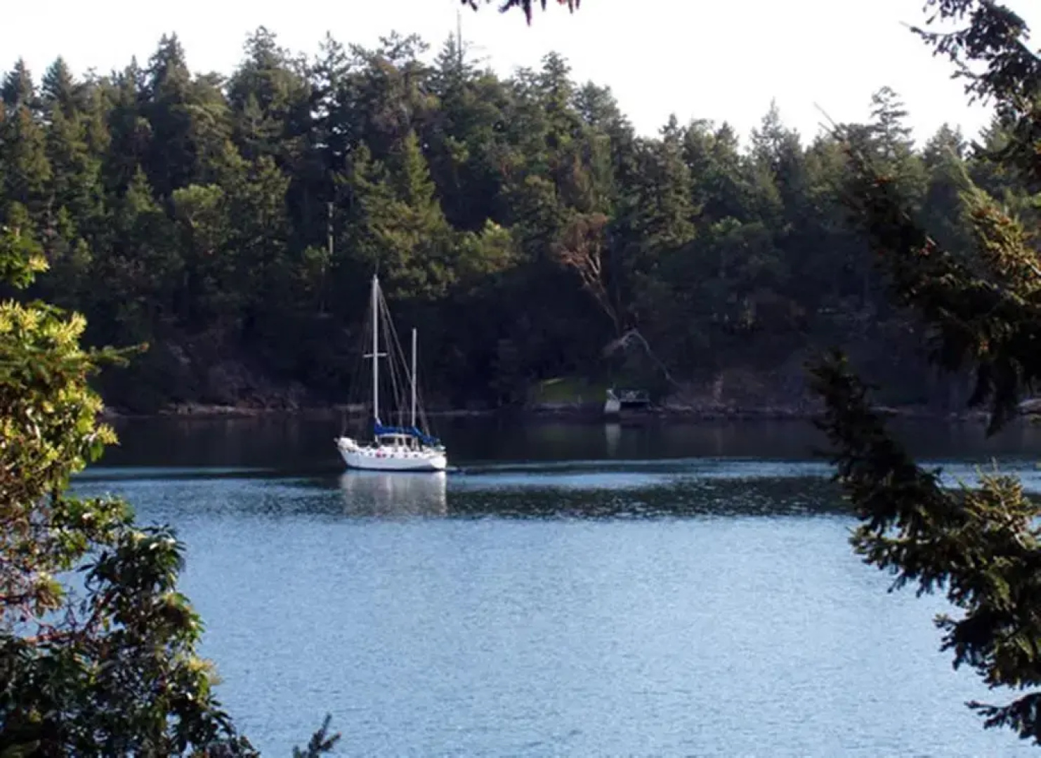 Arbutus Point Oceanfront B & B