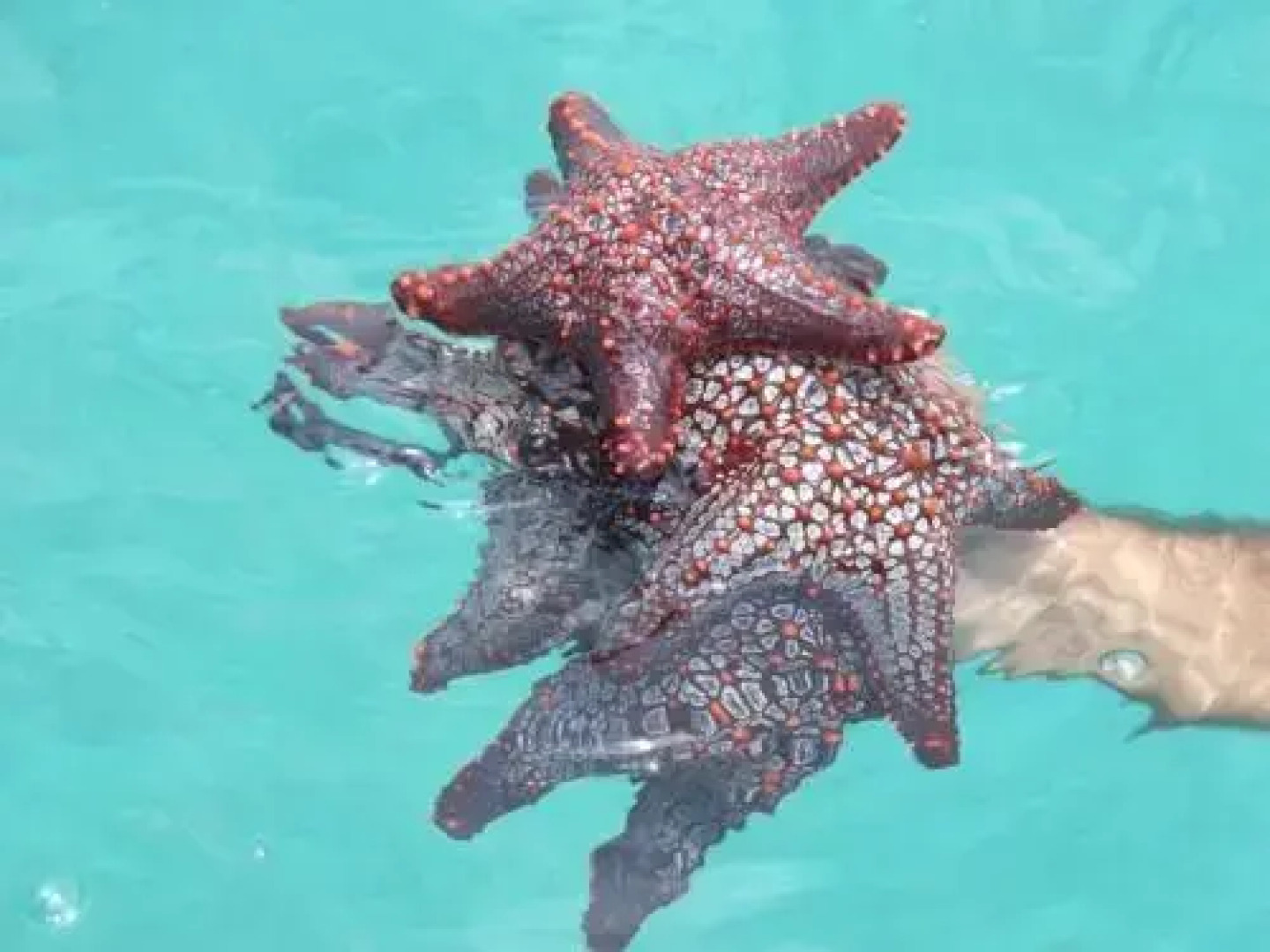 Casa Pacifica with Golf Cart