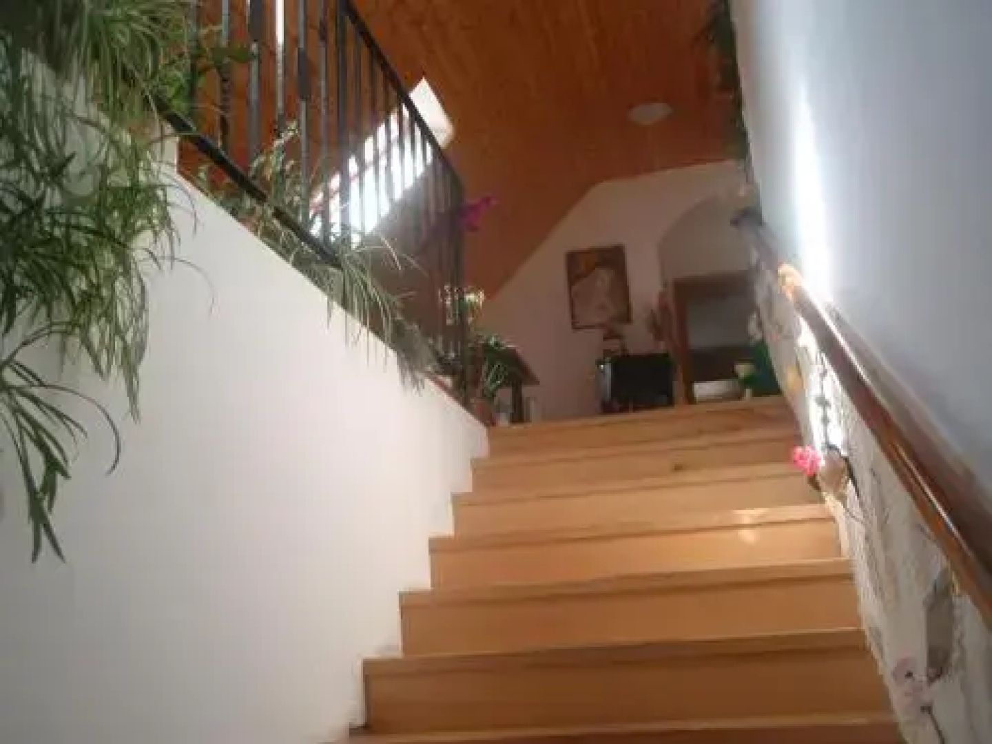 Ubytování Mája
