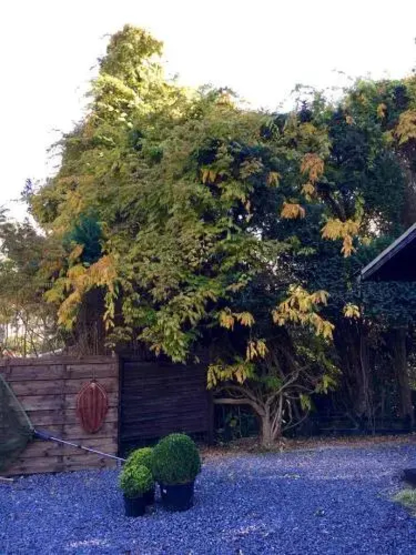 Vakantiehuisje De Vuurtoren