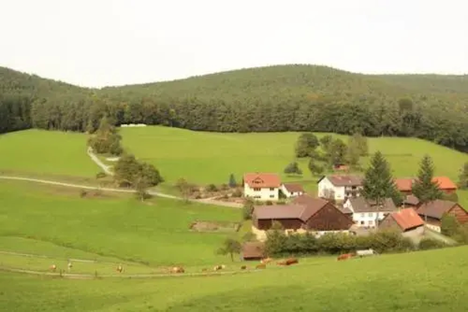 Ferienwohnung Hennrich