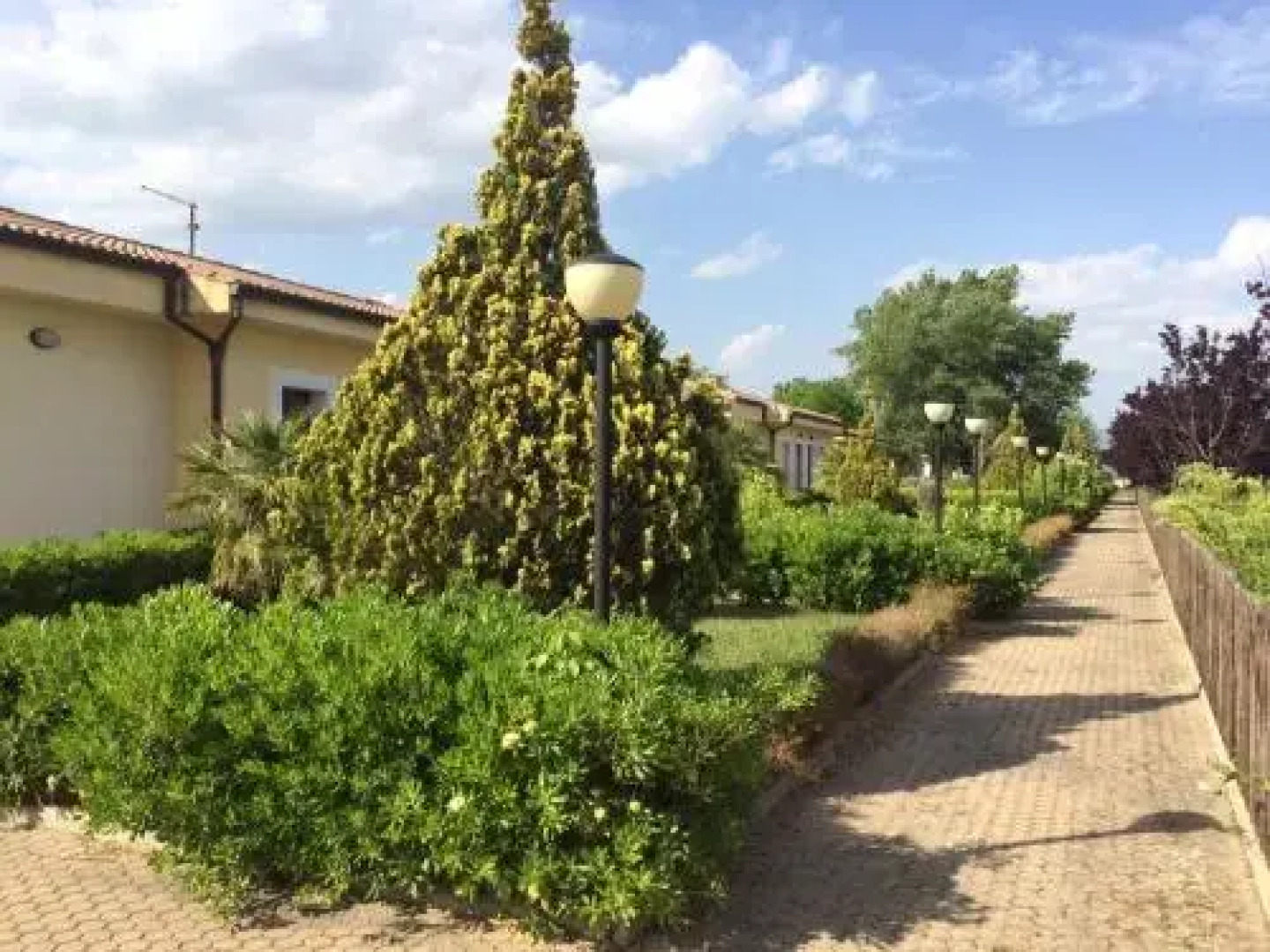 Agriturismo Colle Degli Ulivi