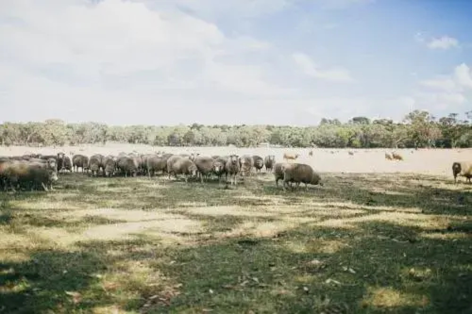 The Cottage at Bolobek