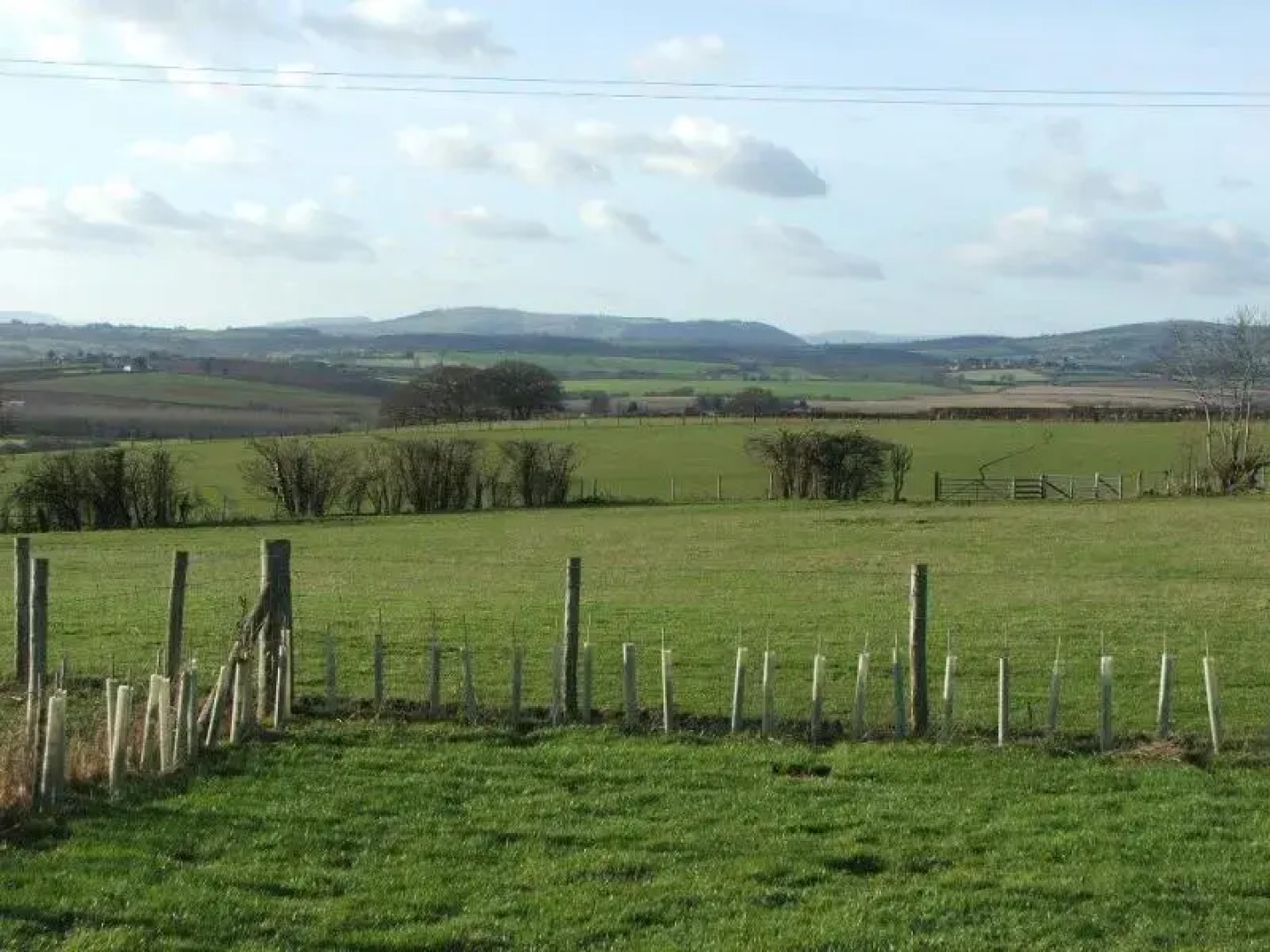 Little Treaddow Farmhouse B and B