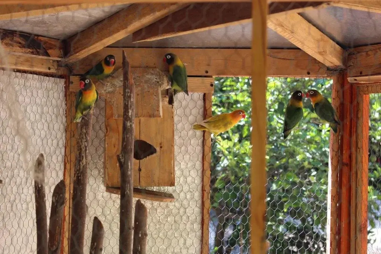 Alojamiento Rural Casa Quinta Peumayen