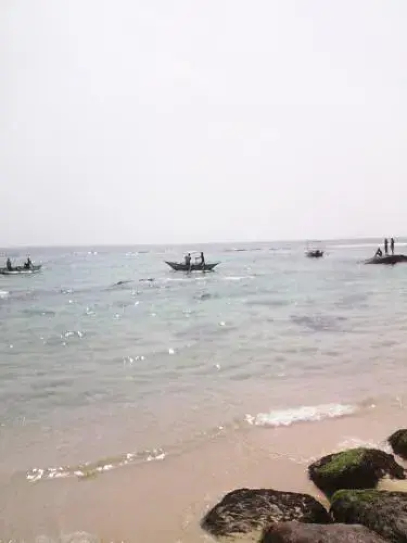 Gami Gedara