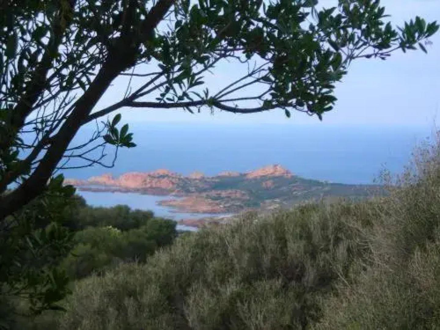 Residence Verde Mare