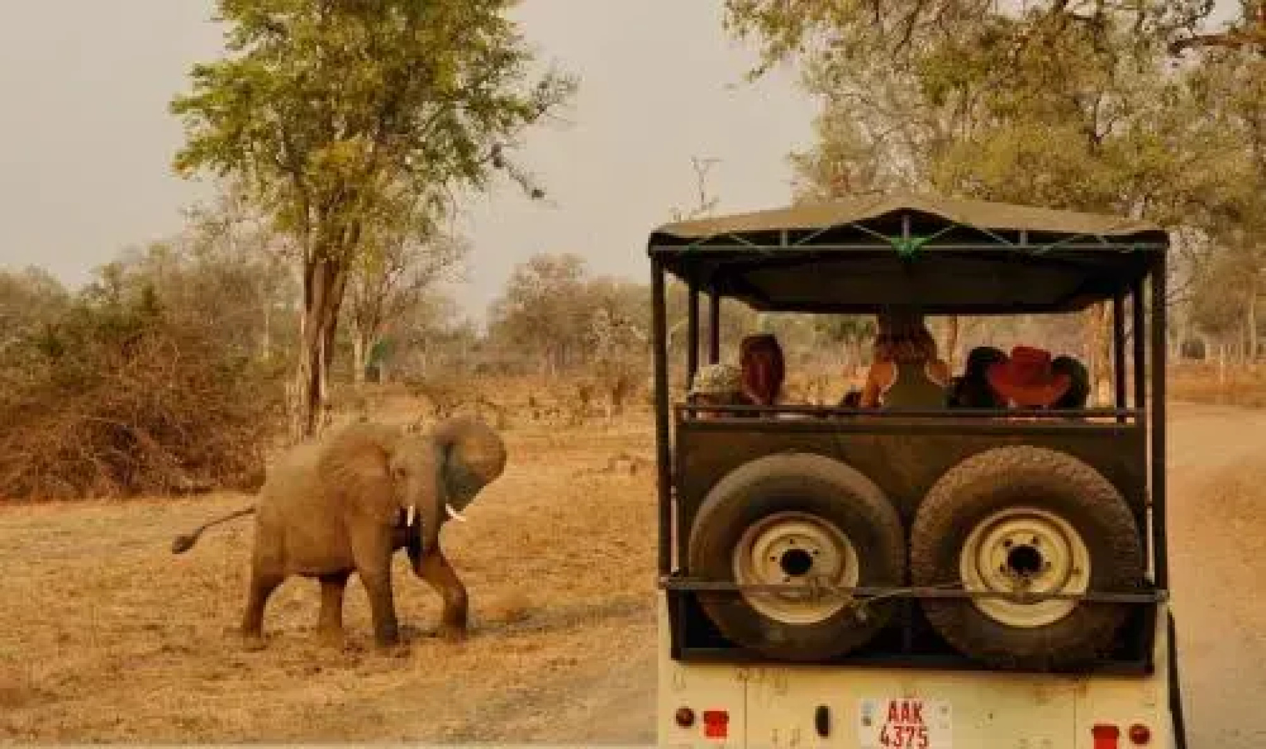 Kiboko Safaris Camp