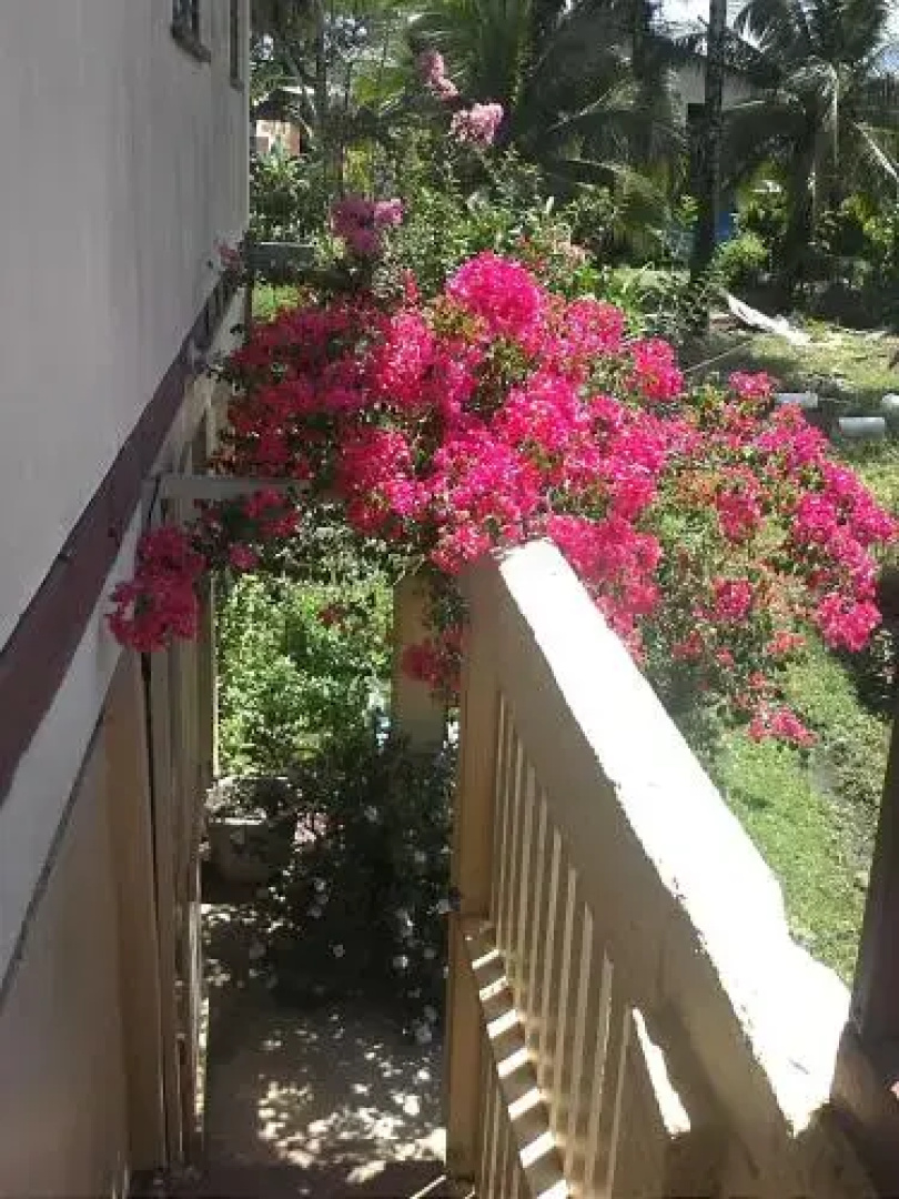 Hostal Dona Irma Bocas