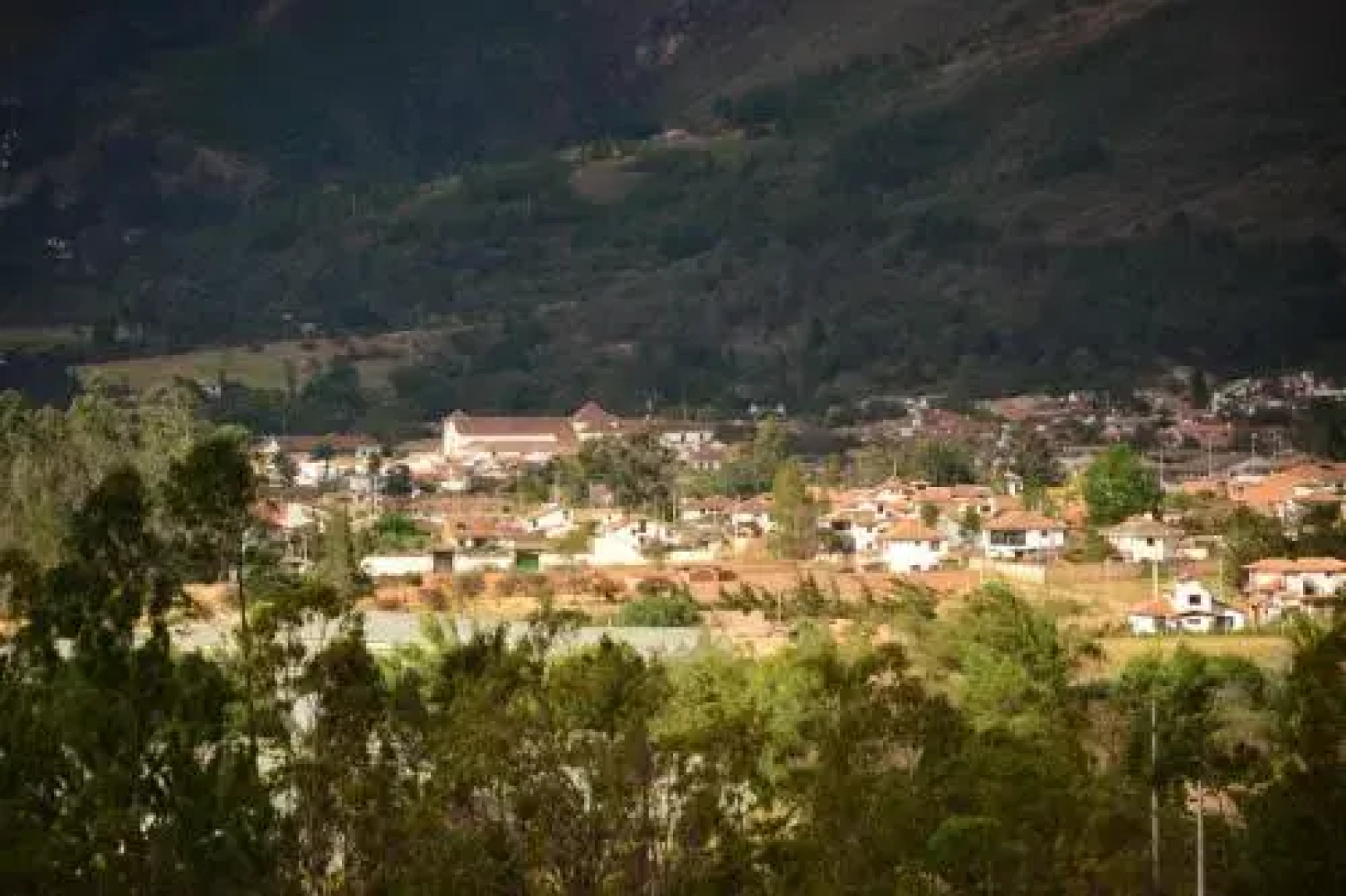 The Little Glass House