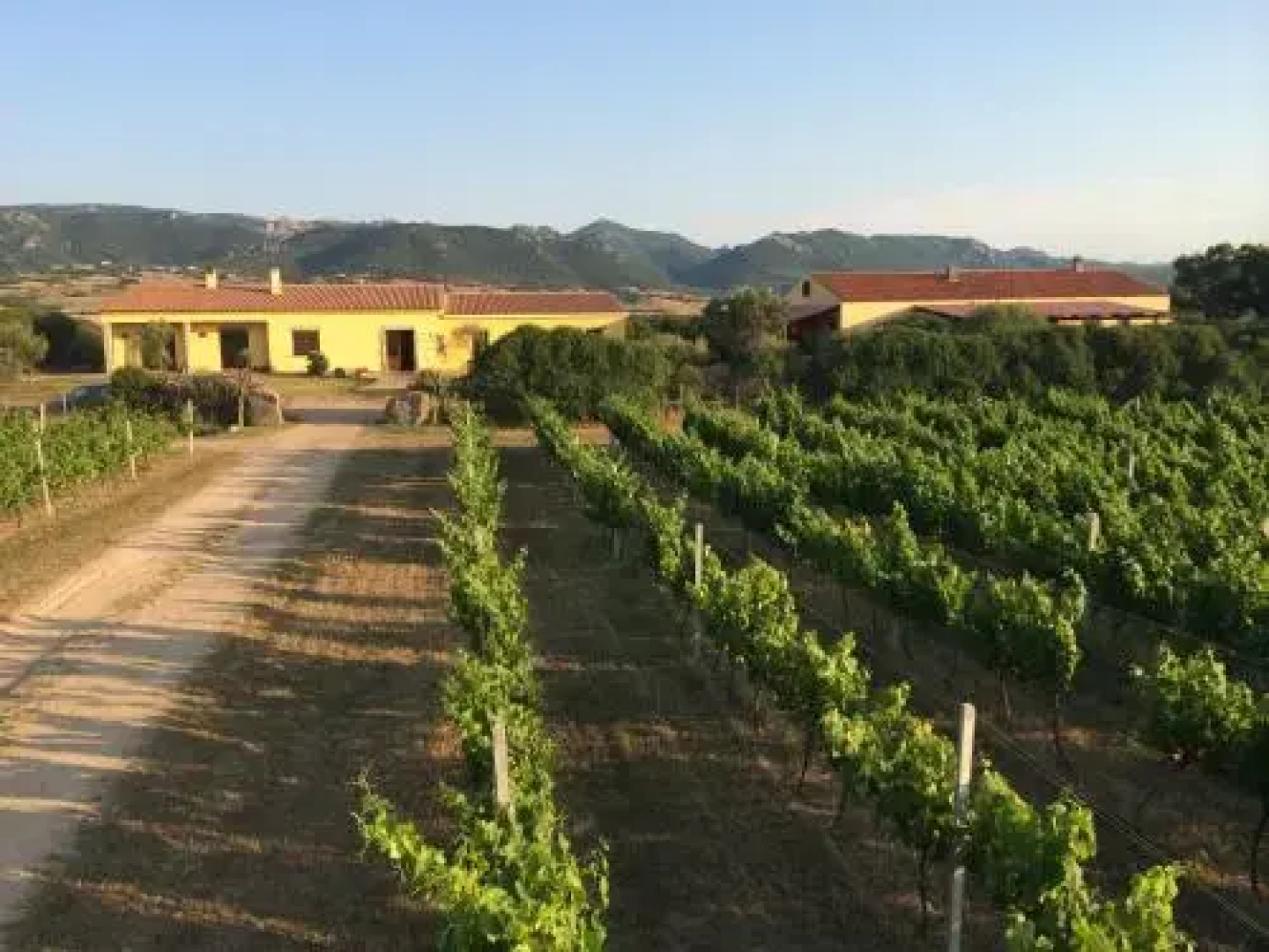 Agriturismo Campesi