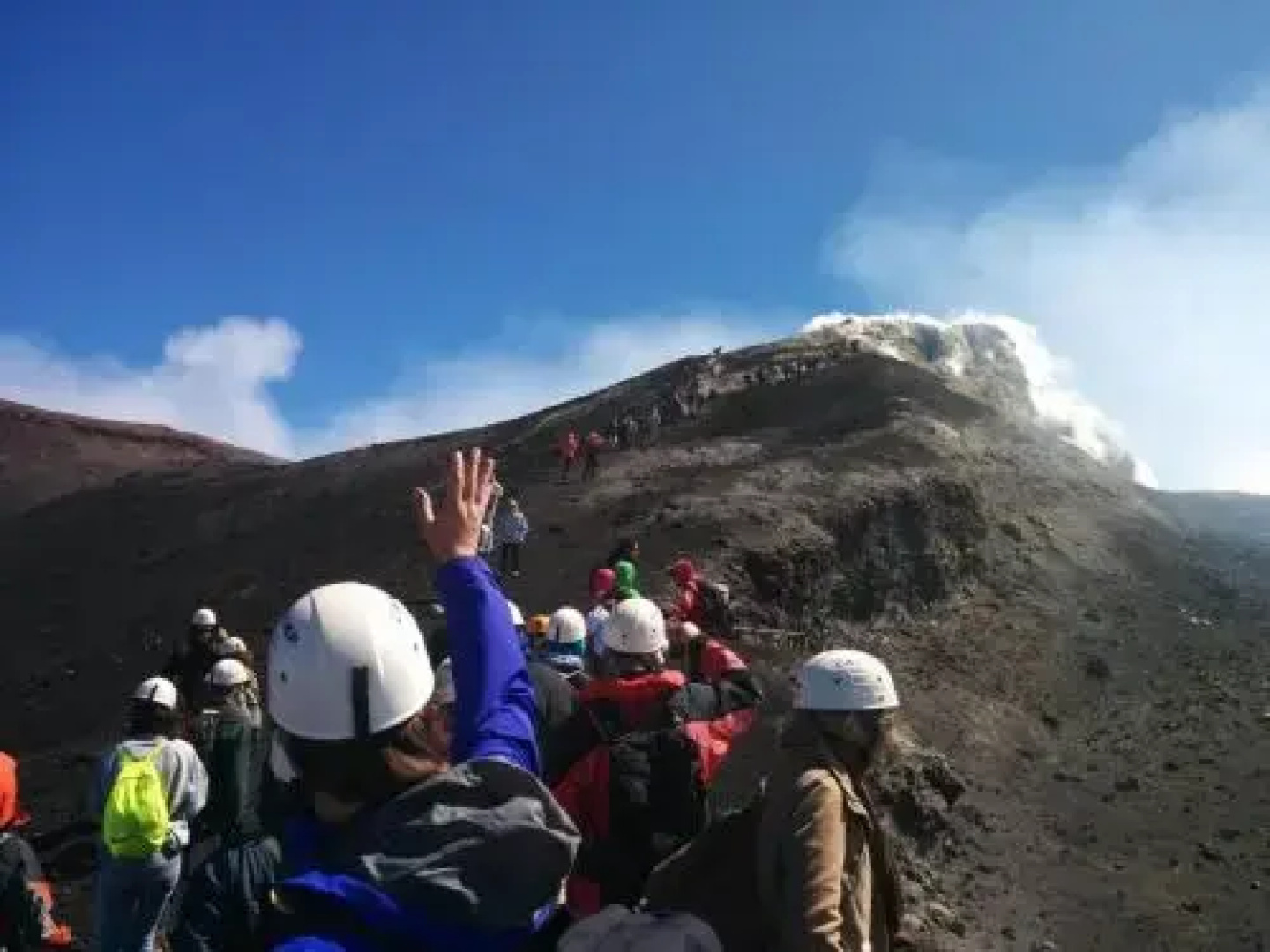 Volpe dell'Etna