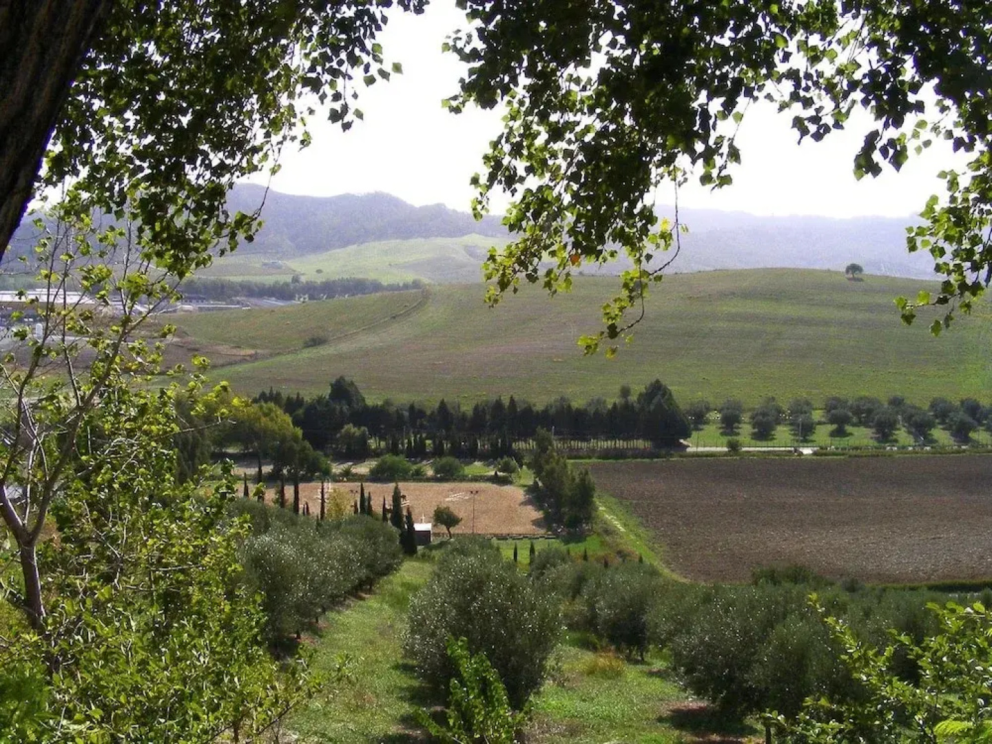 Agriturismo Borgo Santa Rosa