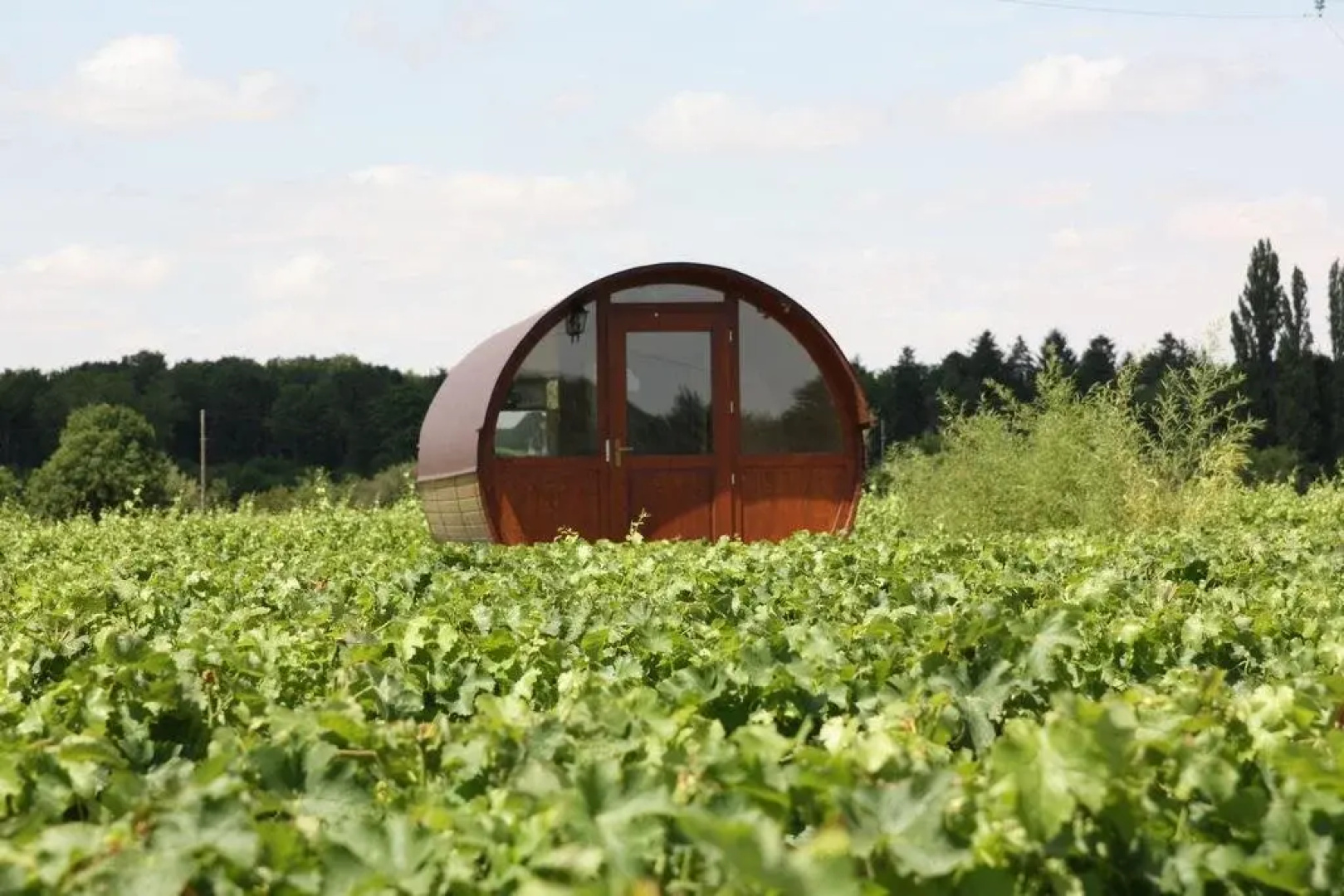 Les Sens de la Terre