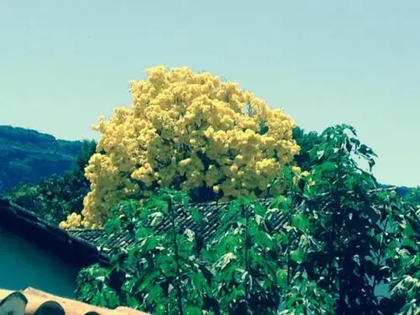 Pousada Quinta da Esperança