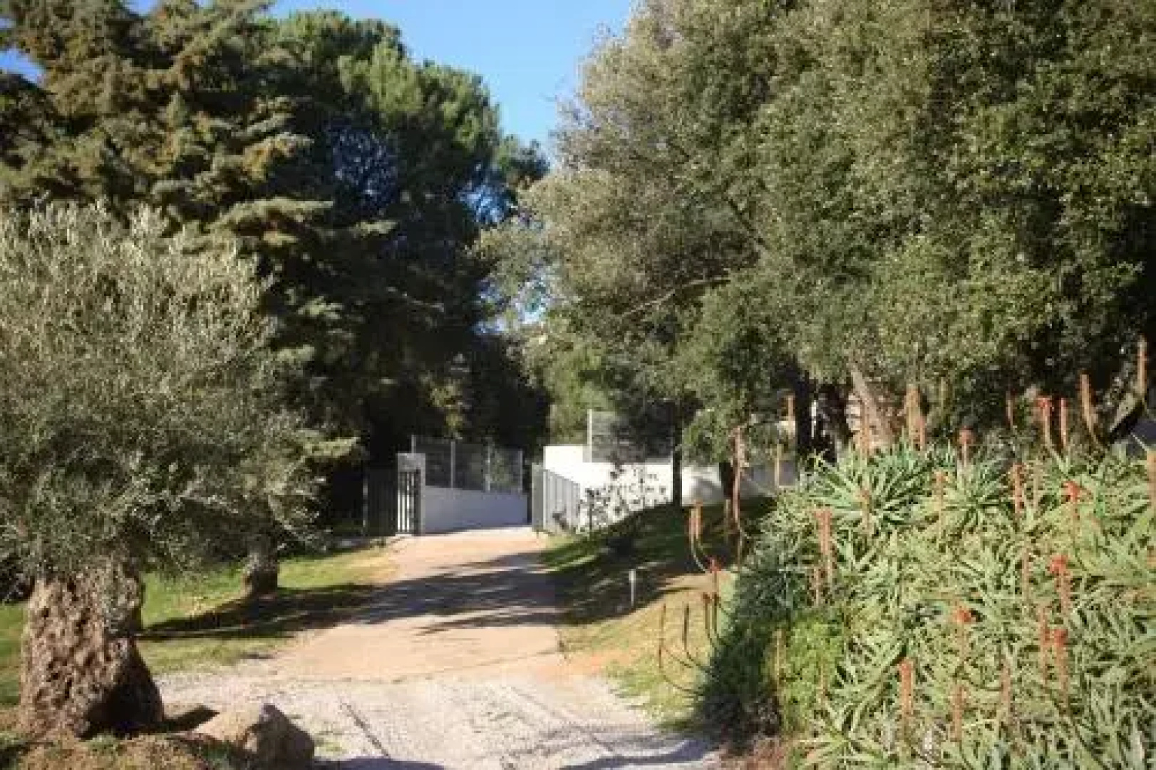 Villa Hote Lux