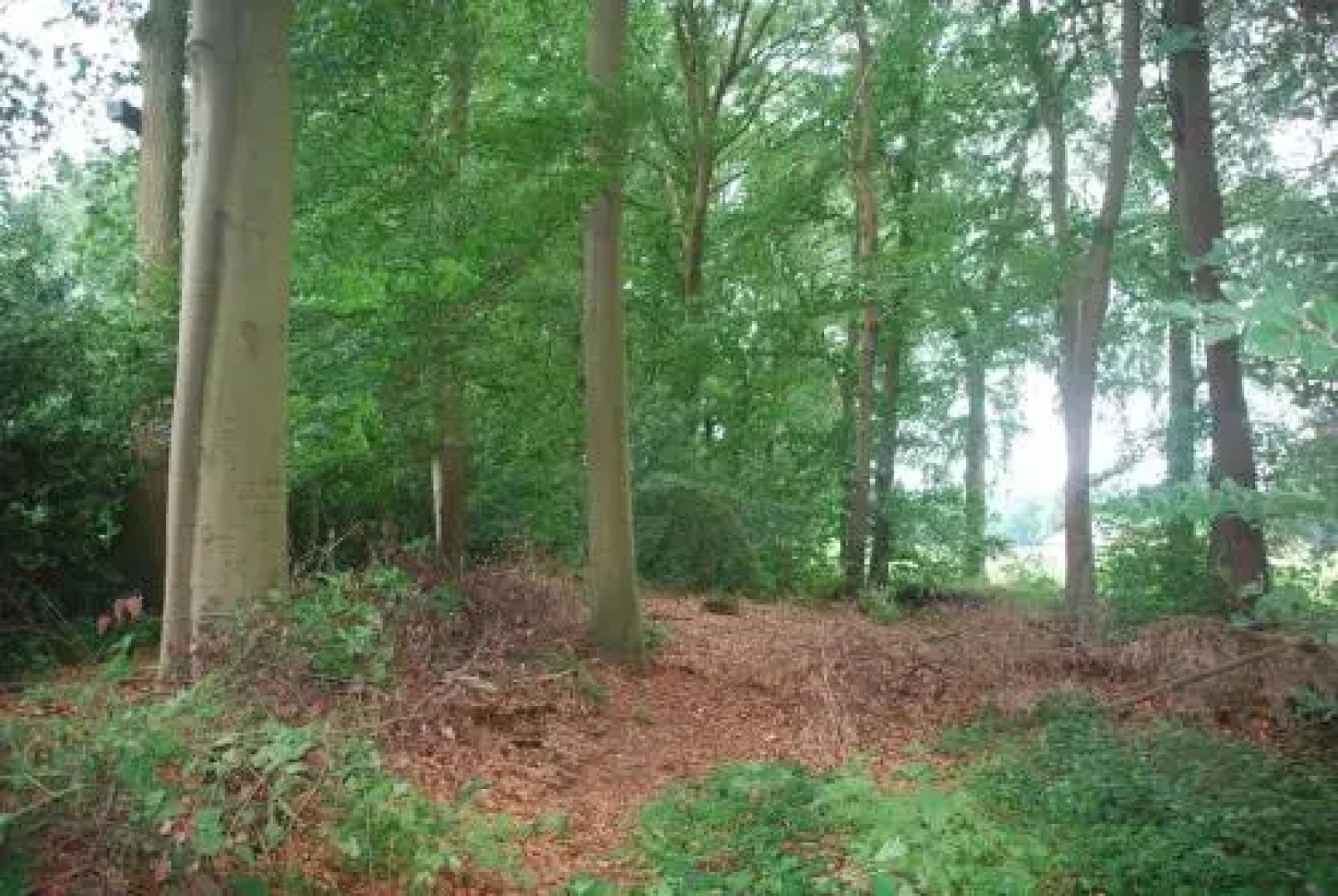 De Hagmolenbeek Boekelo