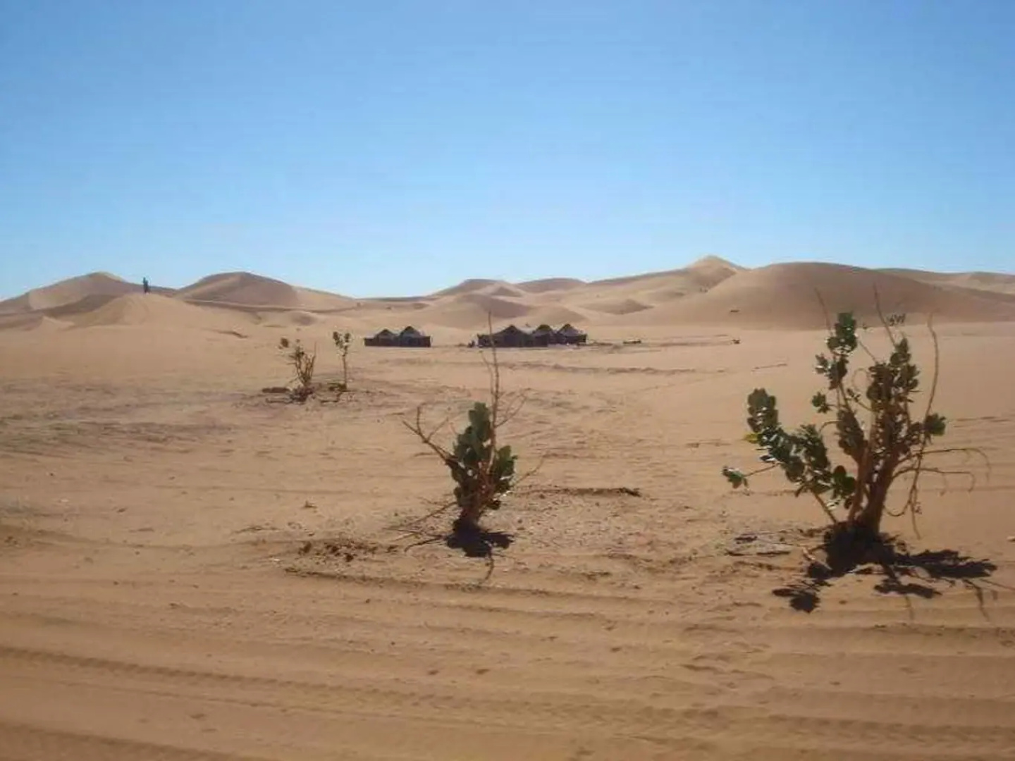 Bivouac Dunes de Chegaga