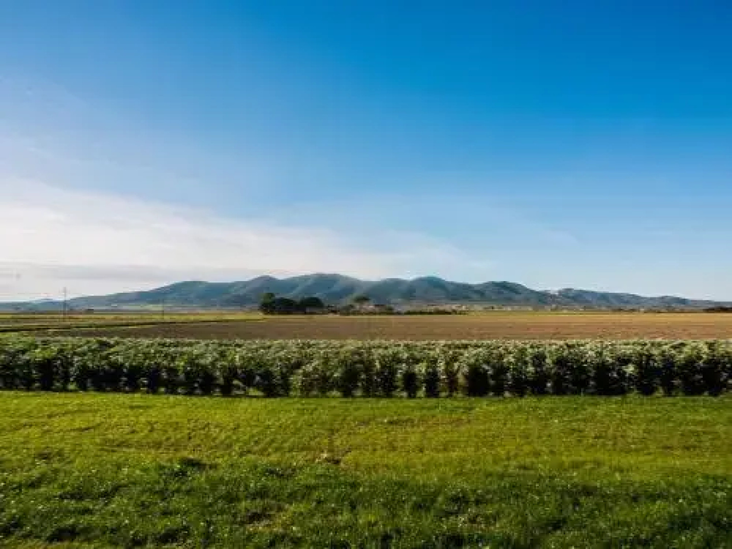 Il Sole  La Luna
