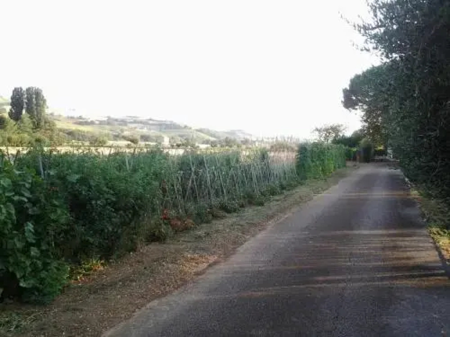 Il Giardino di Mavi