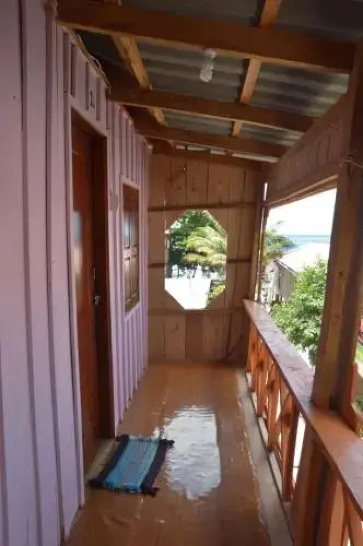 Sunflower guesthouse