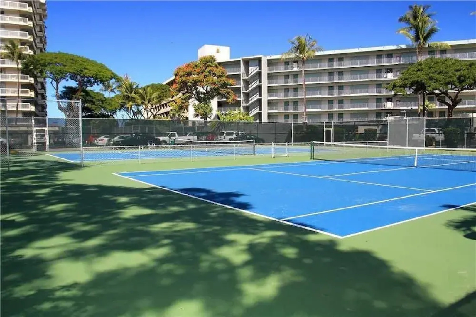 Whaler 656 by RedAwning