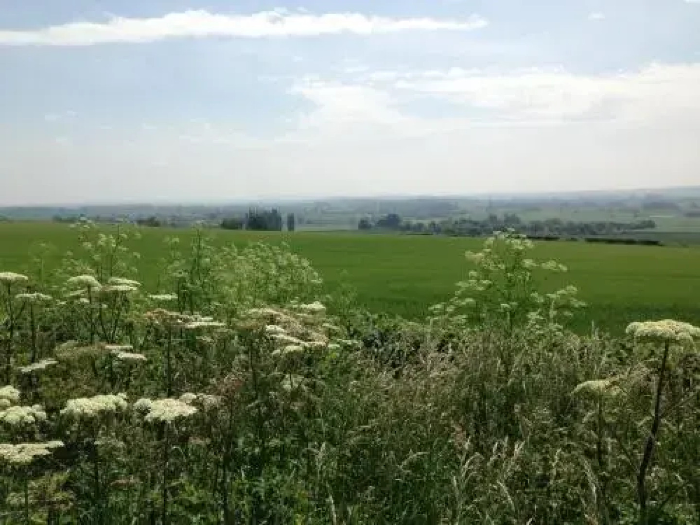 The Old Bakery Bed & Breakfast