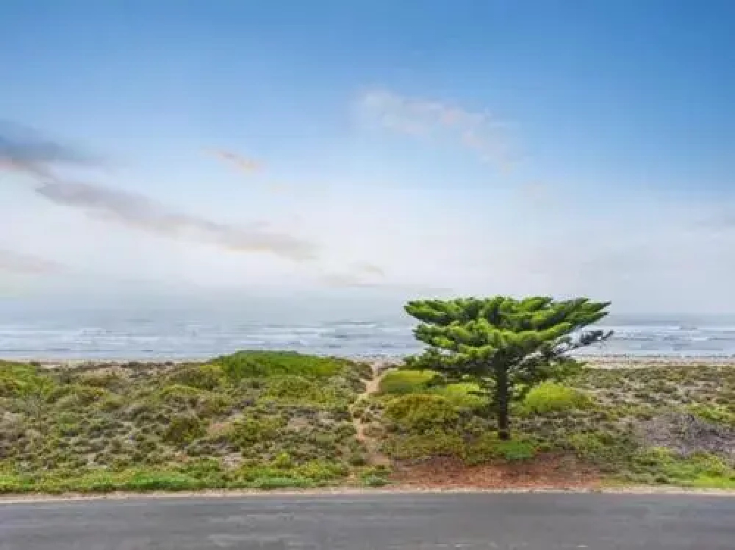 Tahren Beachfront Shack Wifi - Pet-friendly