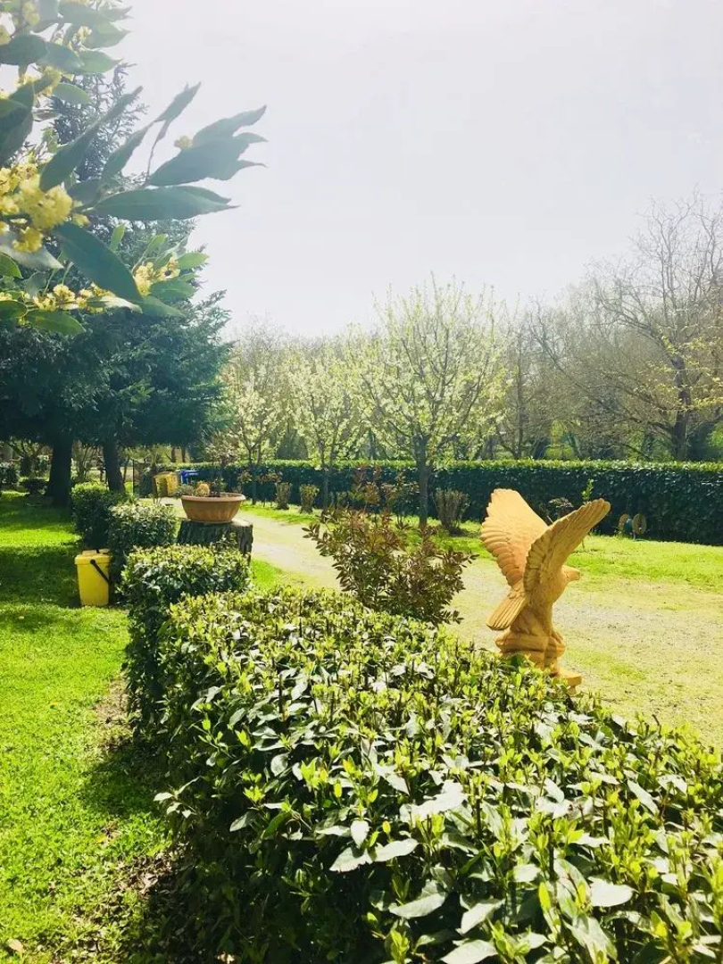 Agriturismo Pianezze