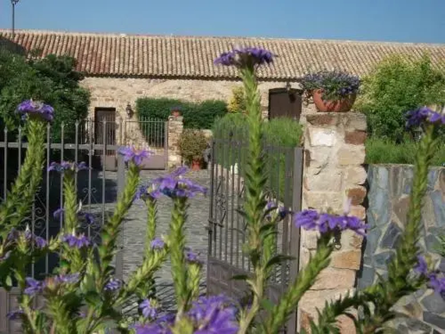 Finca El Cotillo