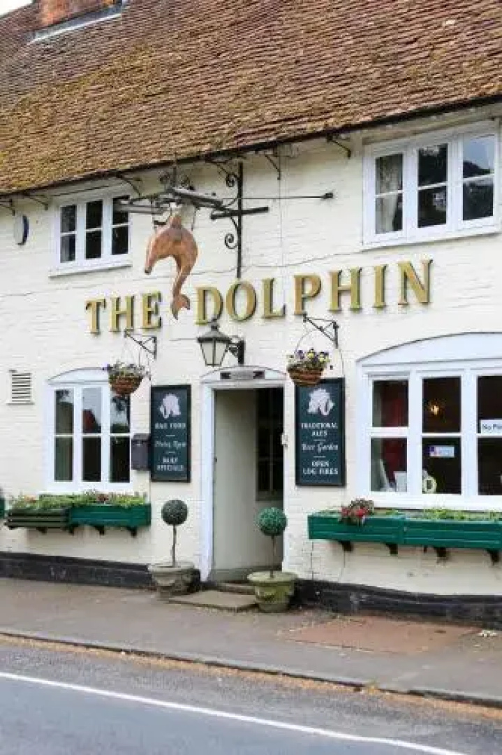 The Dolphin
