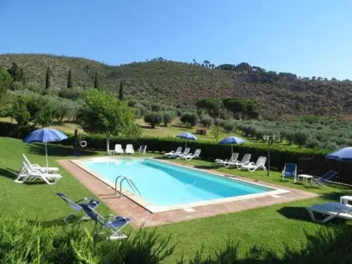 Oliveto di Teodora