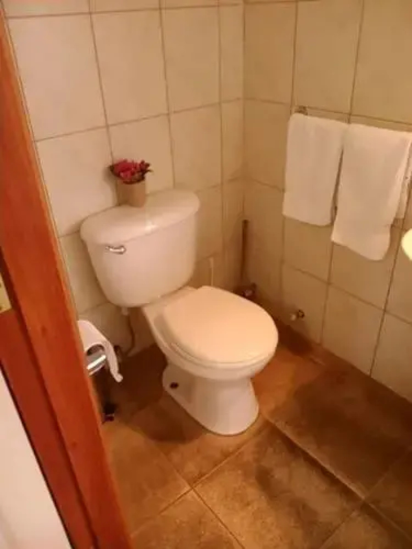 Cabañas y Hostal Costa Lago Villarrica