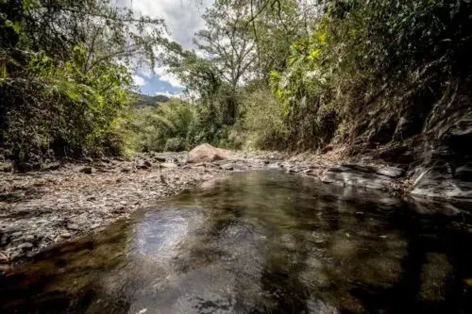 Hotel La Selva Agroecologica